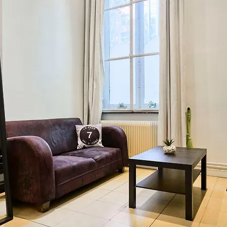 Apartment Hypercentre - Cocon